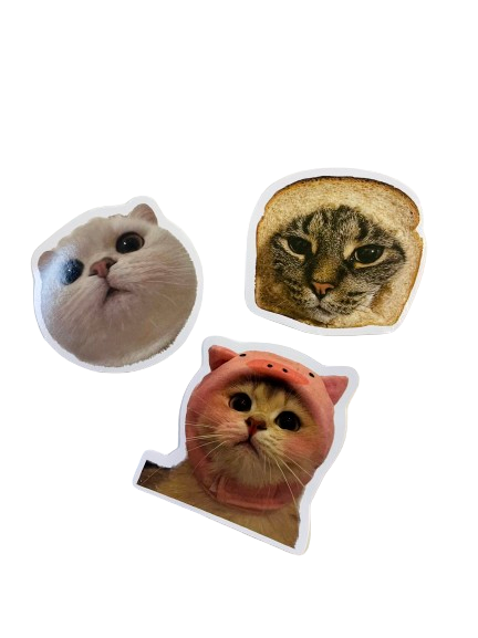 Cat Sticker Set CA001