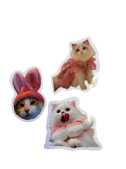 Cat Sticker Set CA002