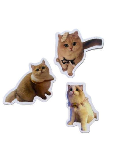 Cat Sticker Set CA008