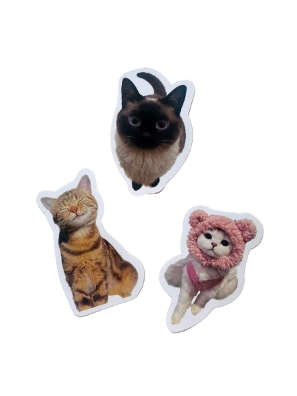 Cat Sticker Set CA007