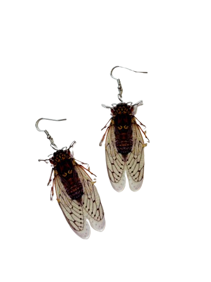 Fly Earrings