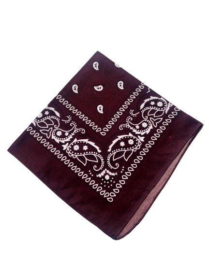 Brown Paisley Bandana