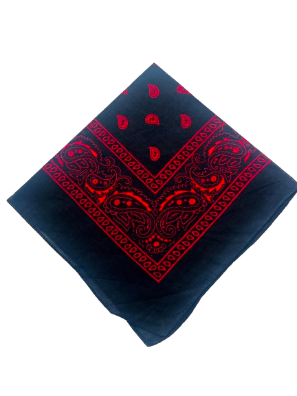 Black & Red Paisley Bandana