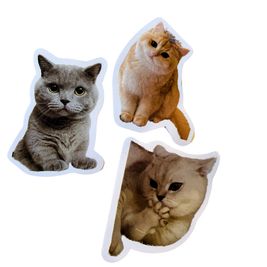 Cat Sticker Set CA013