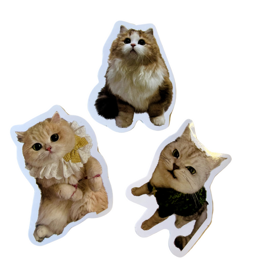 Cat Sticker Set CA012