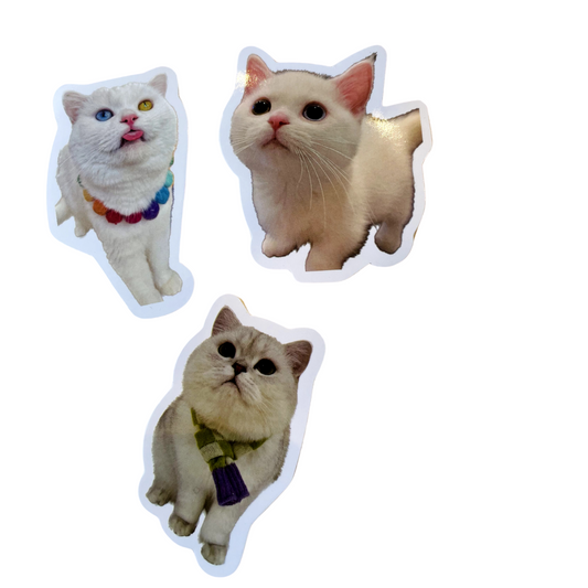 Cat Sticker Set CA010