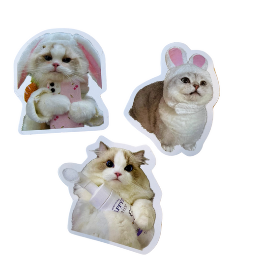 Cat Sticker Set CA009