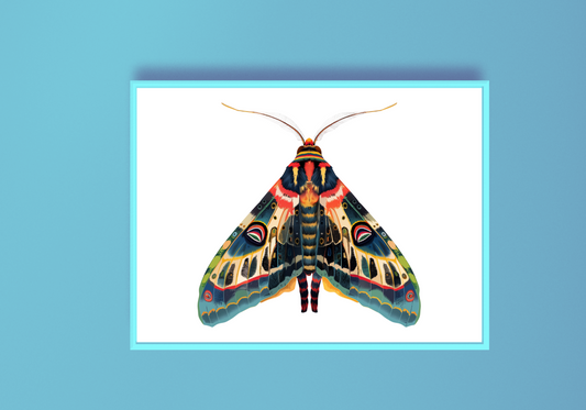 Moth C Art Print