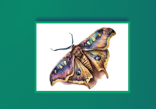 Watercolour Moth D Art Print