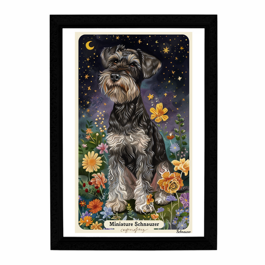 Miniature Schnauzer Art Print