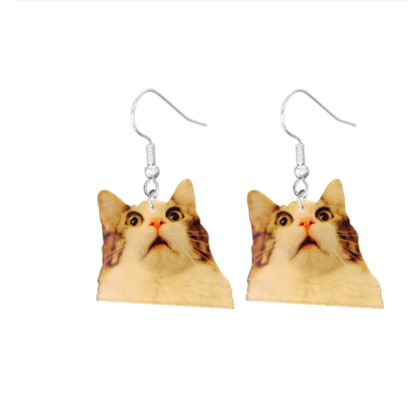 Meme Cat Earrings