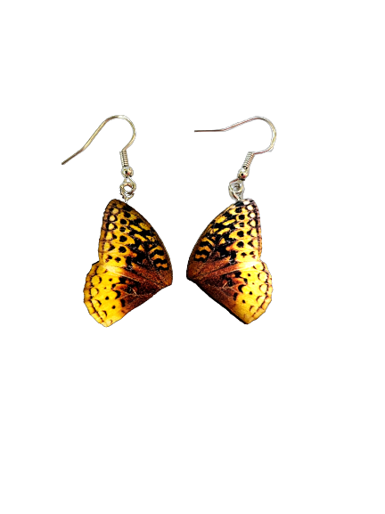 Yellow Butterfly Wing Earrings